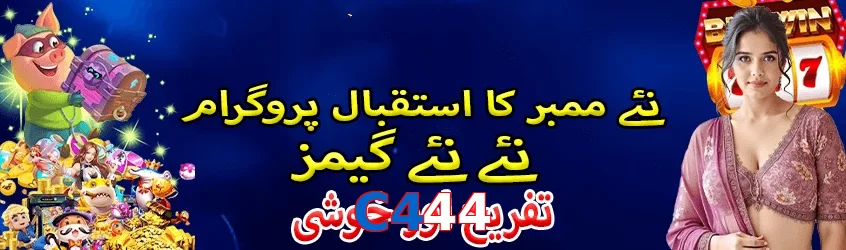 C444 interface sample